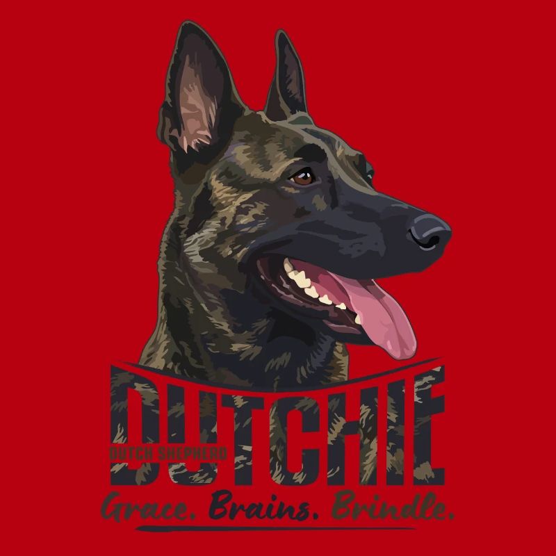Dutchie - Holländischer Schäferhund