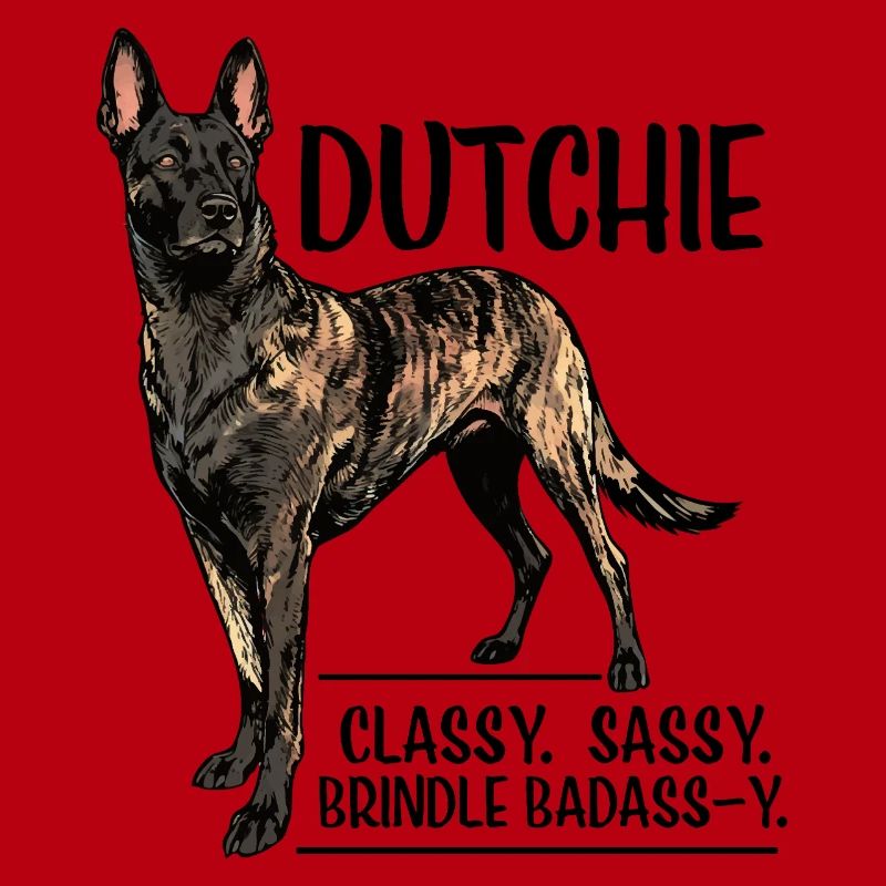Dutchie - Holländischer Schäferhund