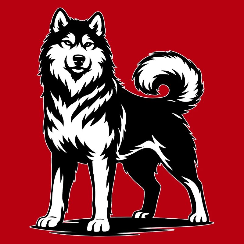 Alaskan Malamute in stolzer Pose