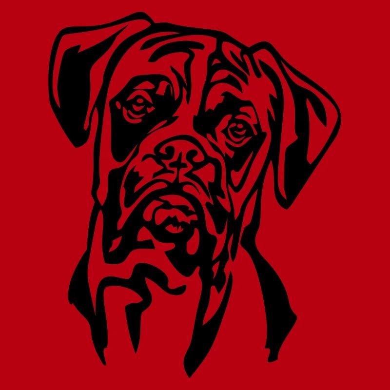 Boxer head