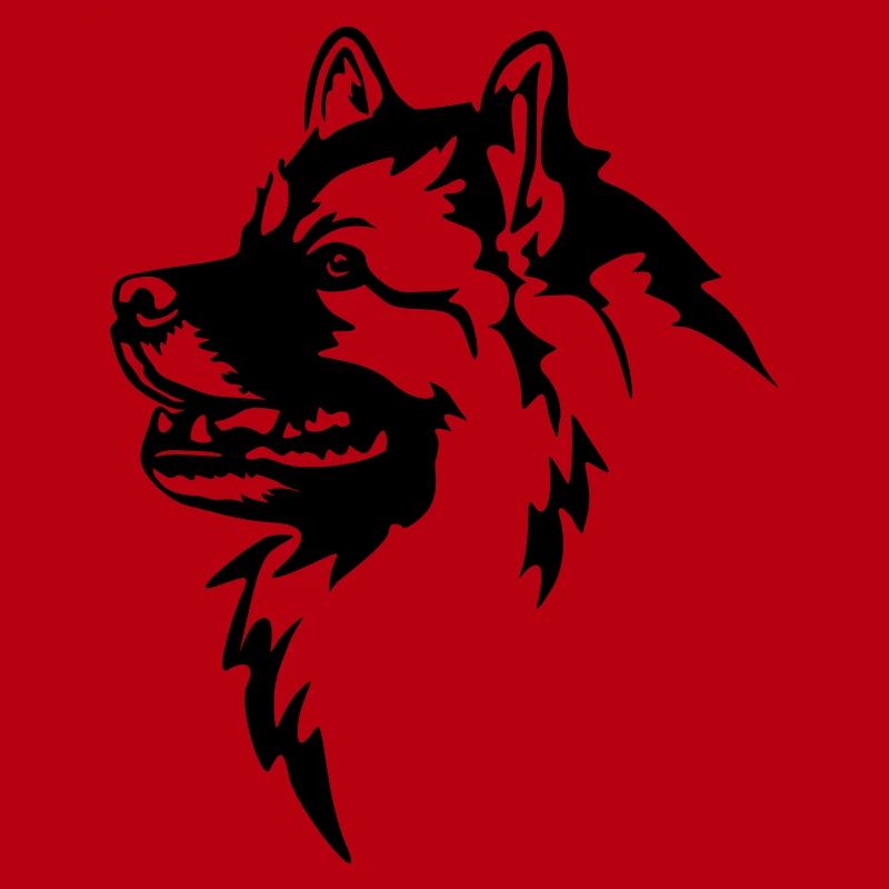 Wolfsspitz Kopf