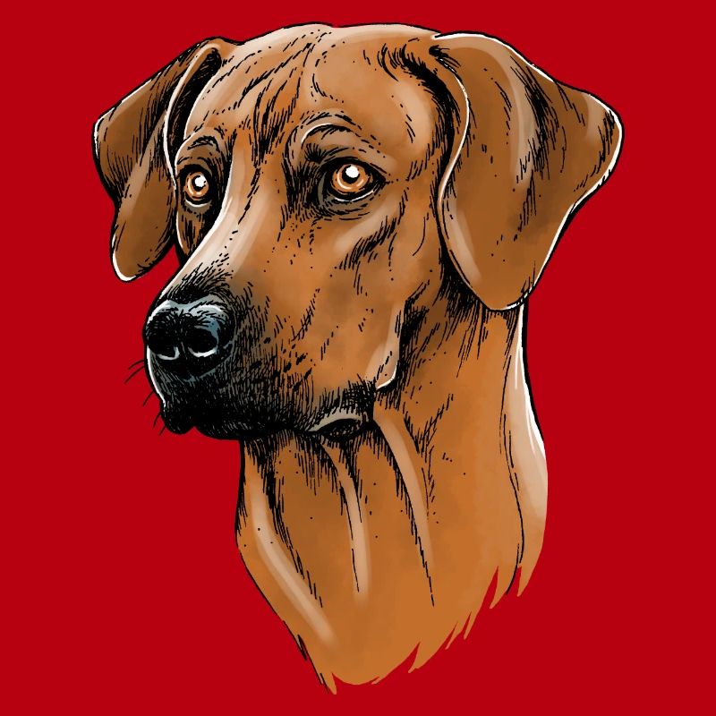 Rhodesian Ridgeback