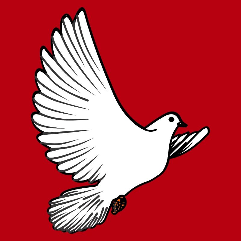 Weiße Taubenbrieftaube Ziertaube oder Friedenstaube