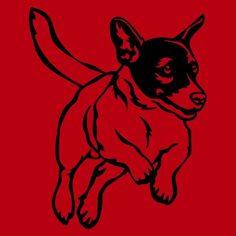 Jack Russell Terrier
