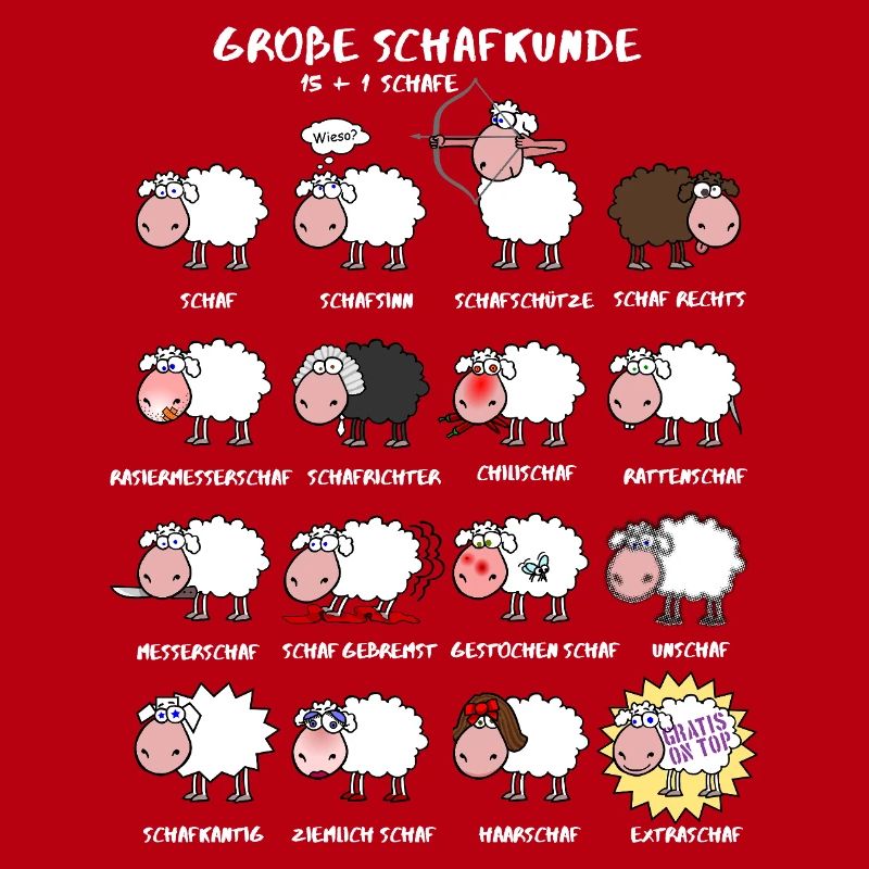 Great sheep knowledge