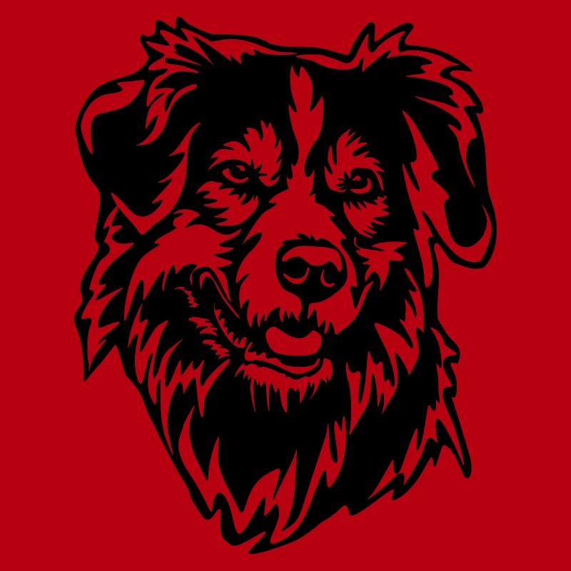 Australian Shepherd Kopf
