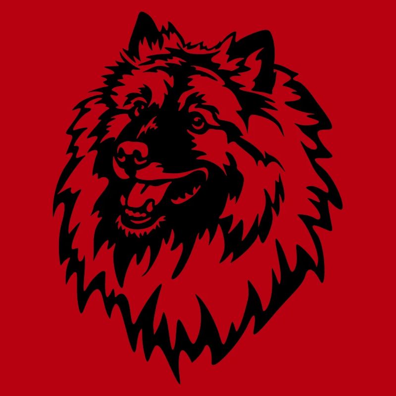 Wolfsspitz Kopf