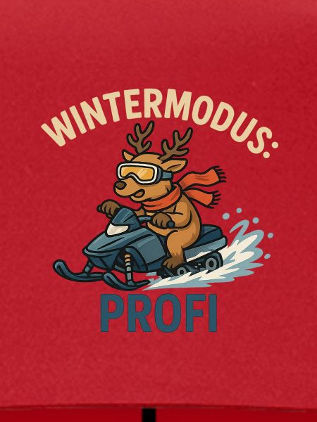 Wintermodus Profi