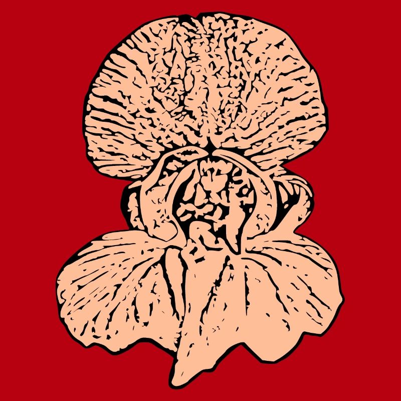 Muttertags Geschenk Mutter Muttertag Geschenkidee 