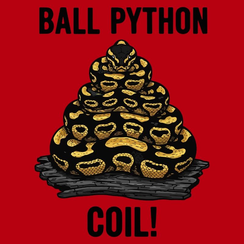 Royal Python Ball Python Coil Reptile Pyramid