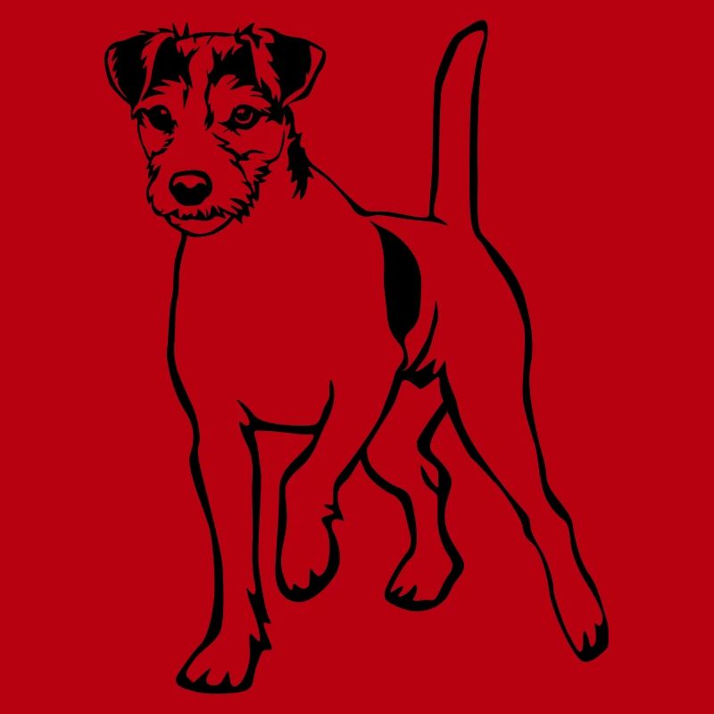 Parson Russell Terrier