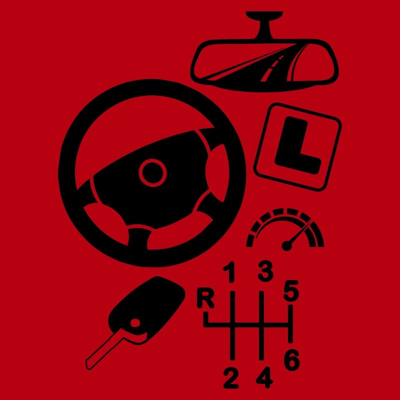 logo Car driving instructor