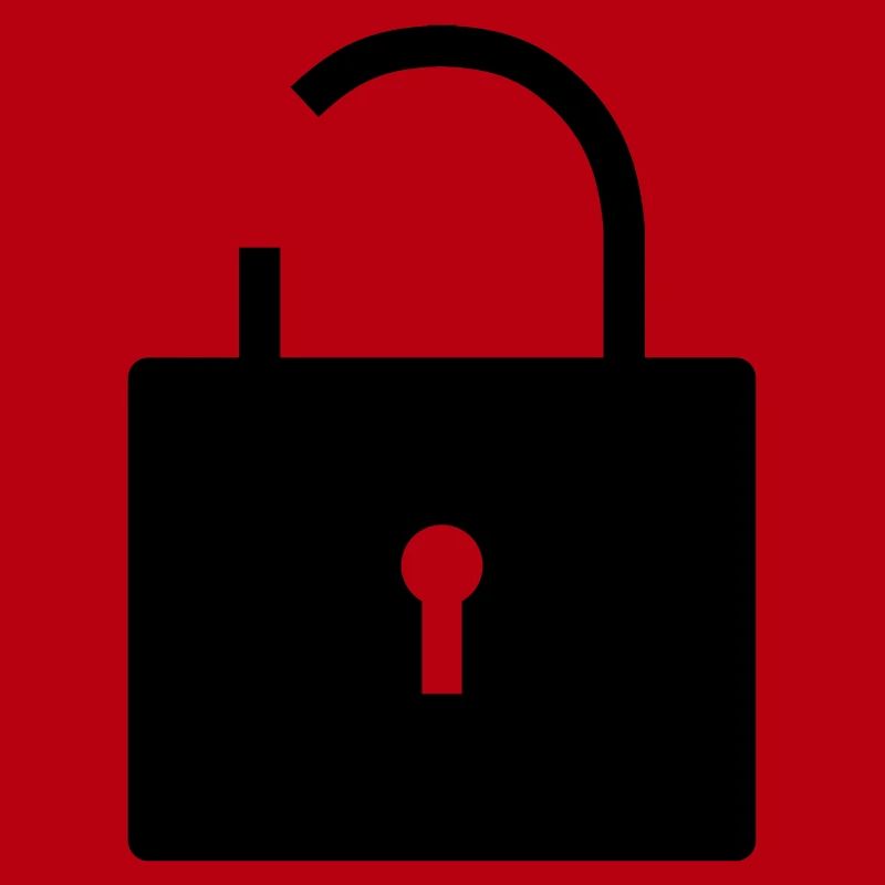 No security no security open lock lock