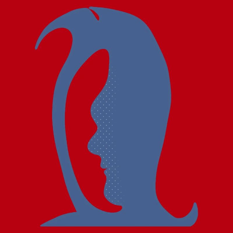 A penguin or a face in this Fun Optical Illusion