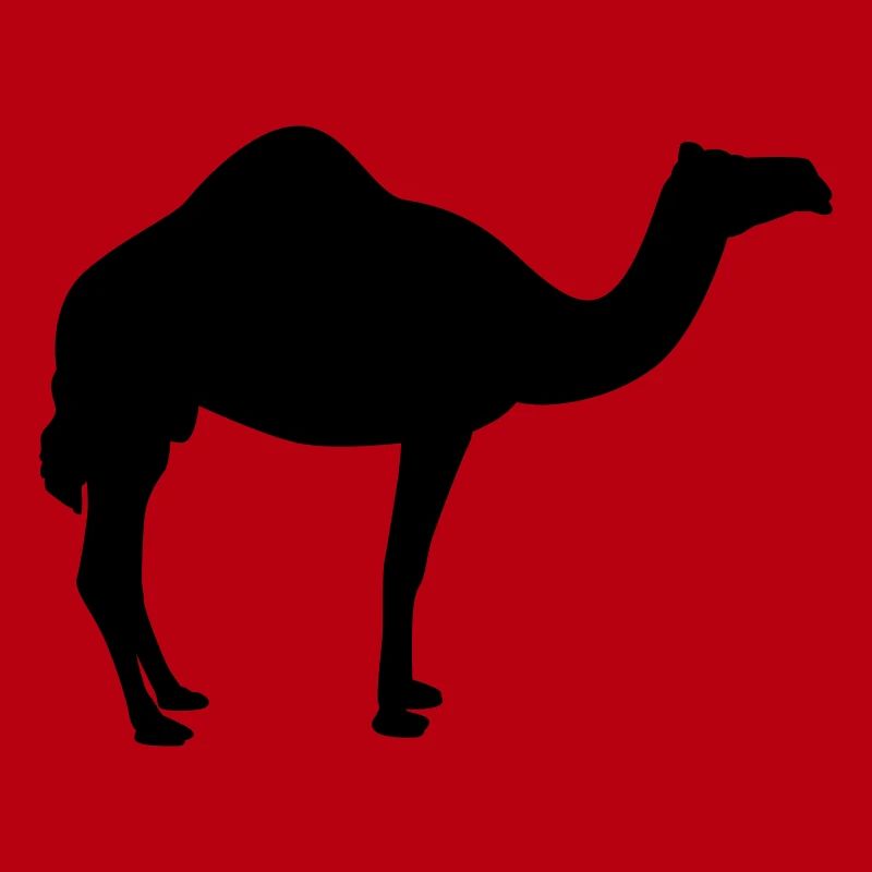 Kamel | Wüste | Dubai | Wüstenschiff