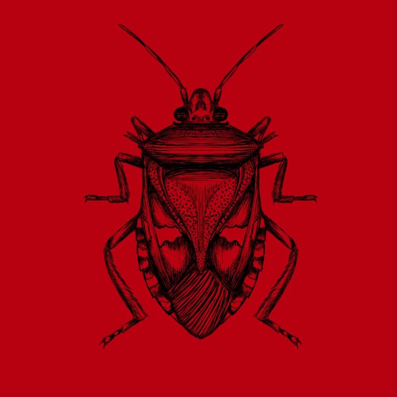 Bug