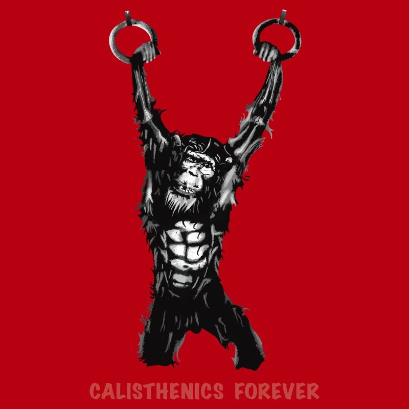 Calisthenics Evolution - Gymnastikringe