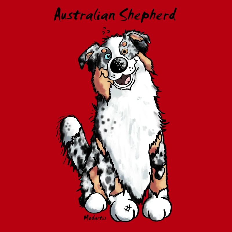 Witziger Australian Shepherd