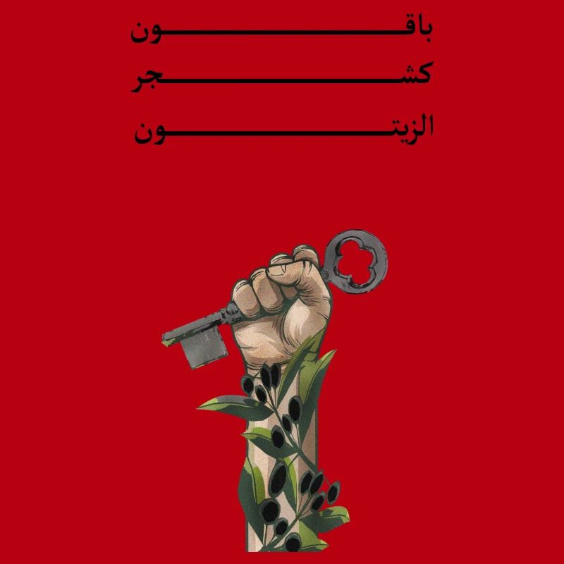 Solid like Oliven trees