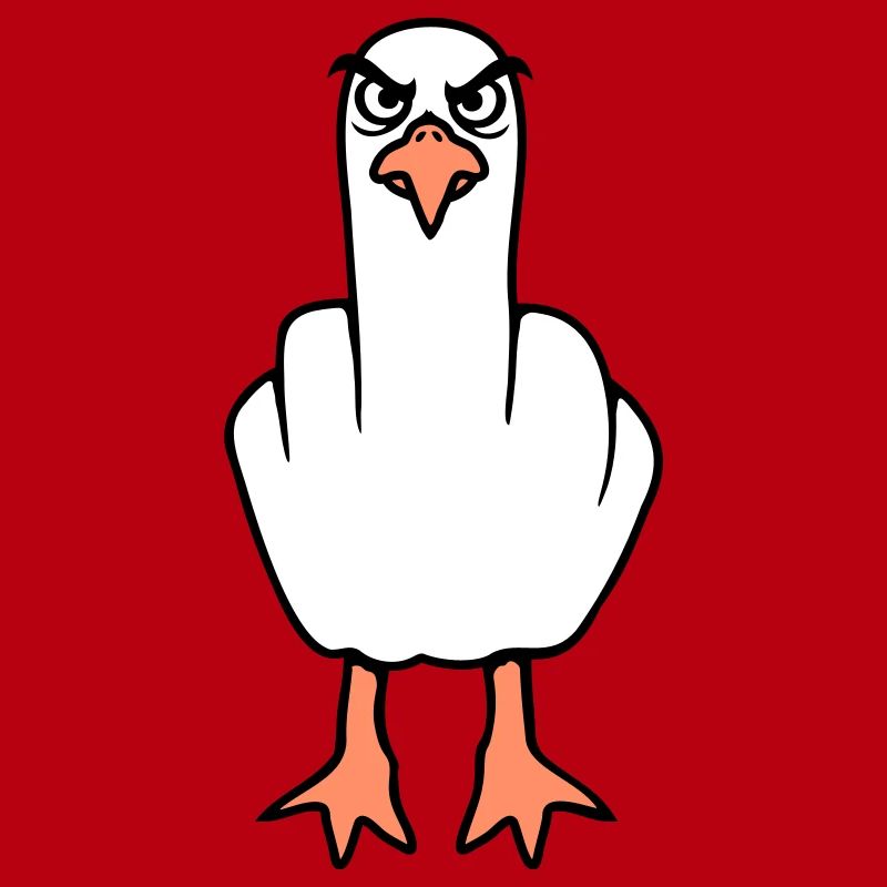 Möwe Mittelfinger Beleidigung Stinkefinger frech