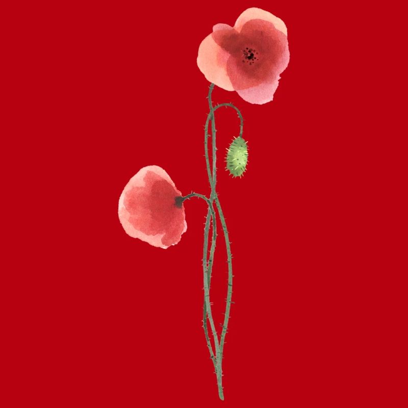Blume: roter Mohn