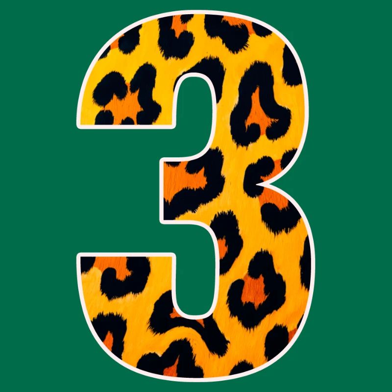 Leopard 3 Number Pattern