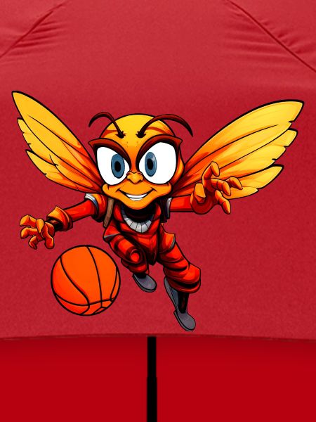 Biene Basketballer