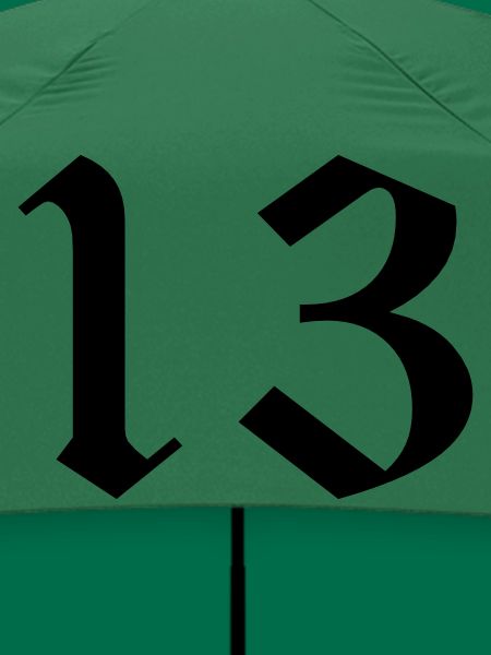 13
