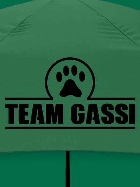 team gassi