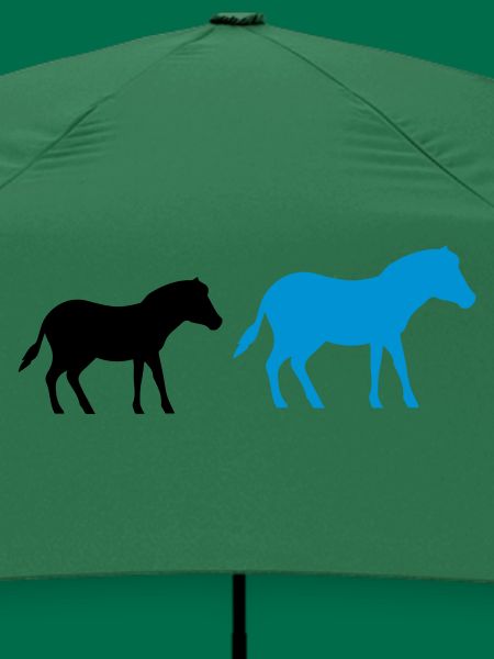 pferd pony 2