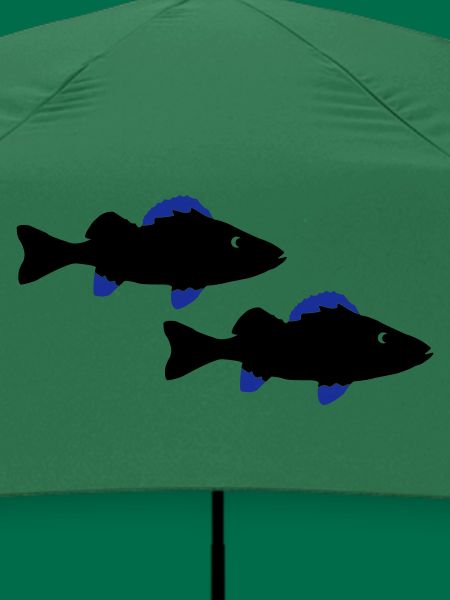 barsch fische