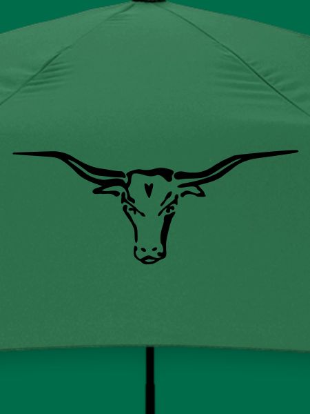 texas longhorn