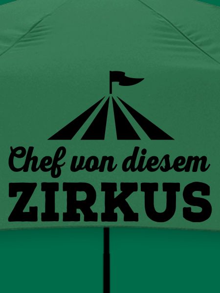 Chef von diesem Zirkus