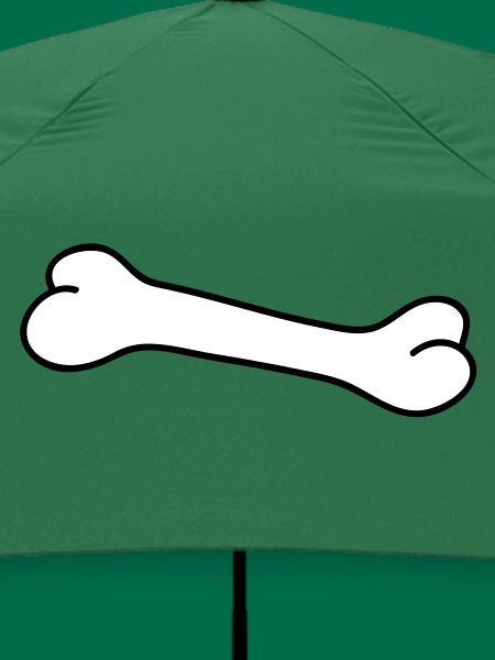 bone