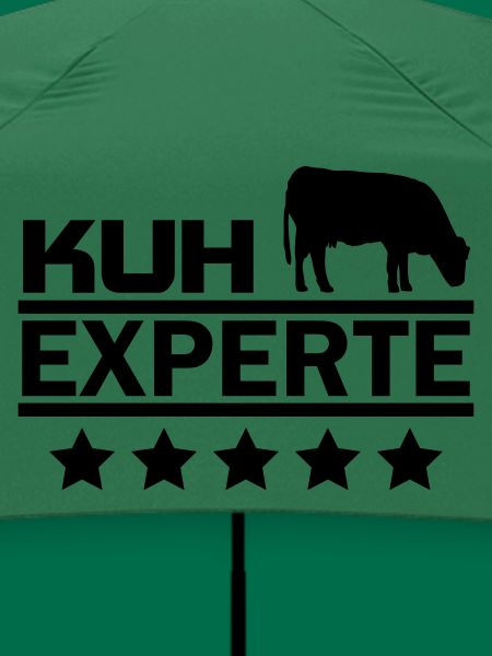 Kuh Experte