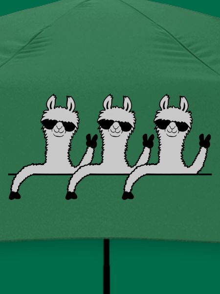 Team Comic Lamas