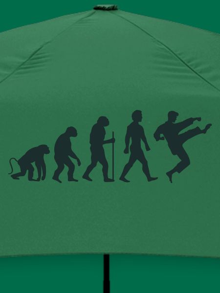 karate evolution