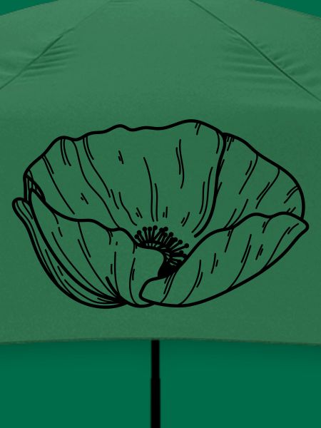 Mohn Blume