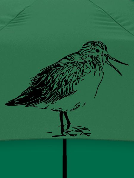 Flussuferläufer Vogel