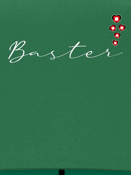 Baster