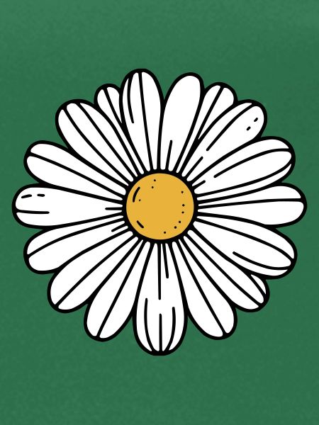 Gänseblümchen