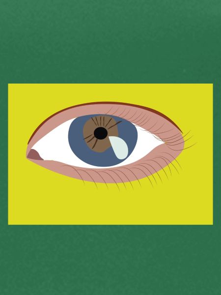 Auge