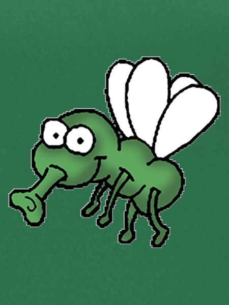 Fliege