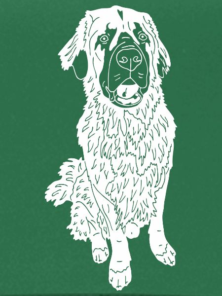 Leonberger Mix