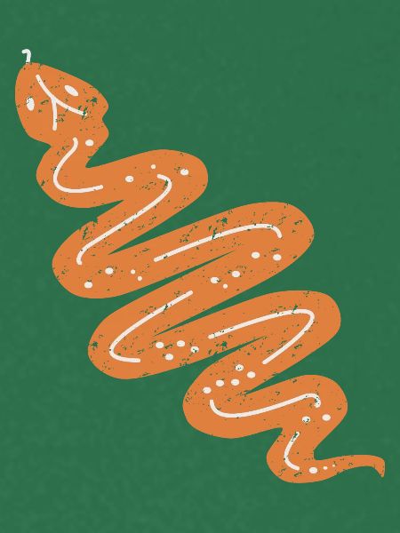 DOWN UNDER SNAKE