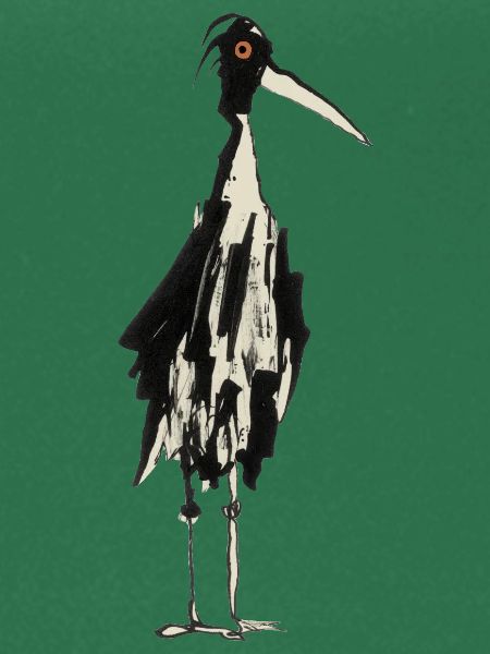 Storch