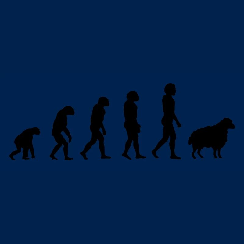 Darwin Sheep