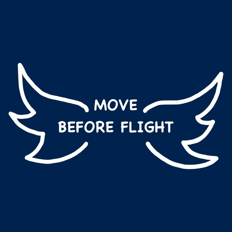 iYpsilon MOVE BEFORE FLIGHT