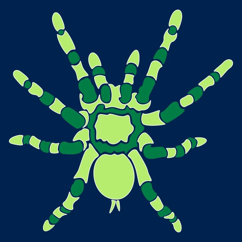 Tarentule orange du genou