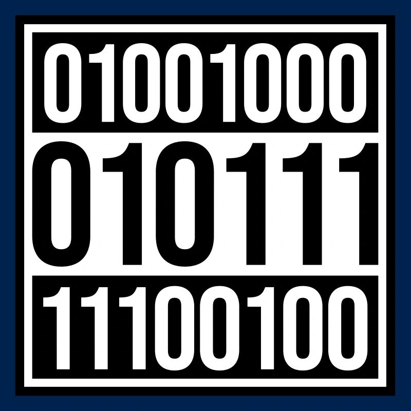 Binary Code Program Language